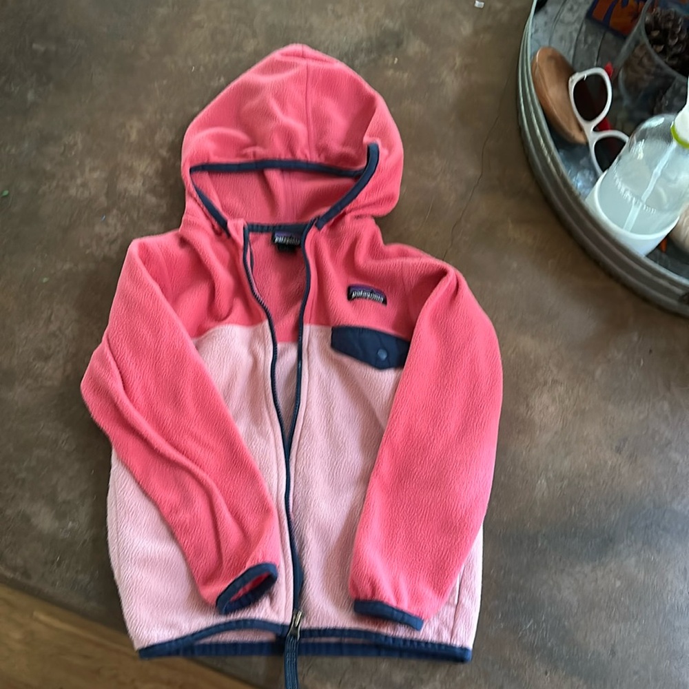 Toddler 4T Patagonia fleece ziplock hoodie